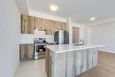 40 Freedom Crescent, Hamilton, ON  - Indoor Photo Showing Kitchen With Stainless Steel Kitchen With Double Sink 