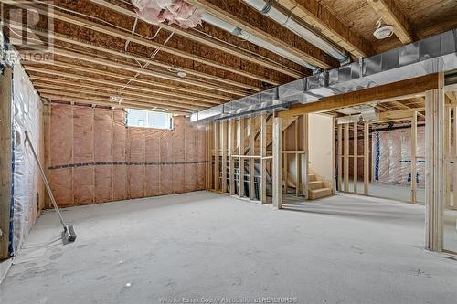 3085 Betts Avenue, Windsor, ON - Indoor Photo Showing Basement