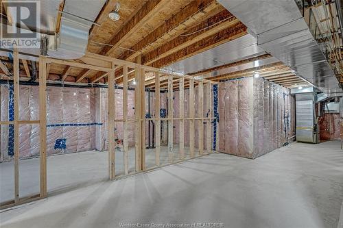 3085 Betts Avenue, Windsor, ON - Indoor Photo Showing Basement