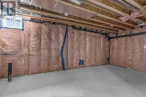 3085 Betts Avenue, Windsor, ON - Indoor Photo Showing Basement