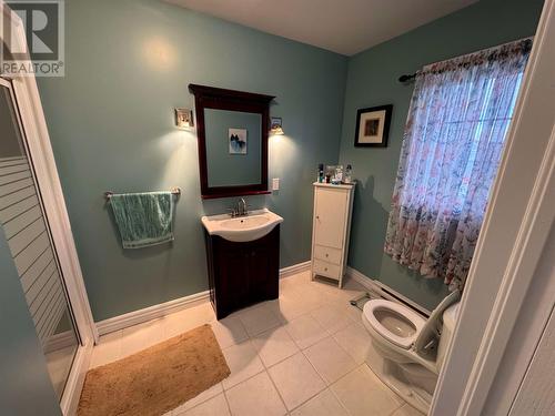 6 Mitchell Street, Happy Valley-Goose Bay, NL - Indoor Photo Showing Bathroom