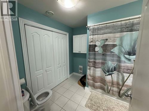 6 Mitchell Street, Happy Valley-Goose Bay, NL - Indoor Photo Showing Bathroom