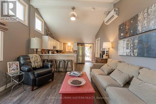 16 Cedar Dale Drive, Kawartha Lakes (Kirkfield), ON - Indoor Photo Showing Living Room