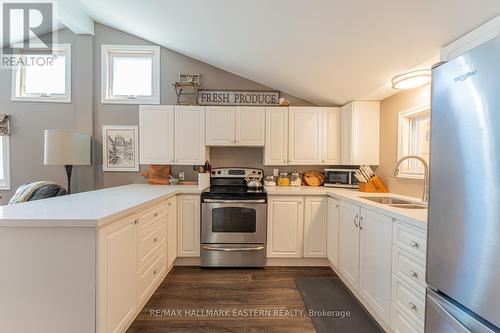 16 Cedar Dale Drive, Kawartha Lakes (Kirkfield), ON - Indoor Photo Showing Kitchen With Double Sink