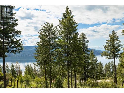 10231 Columbia Way, Vernon, BC - Outdoor With View