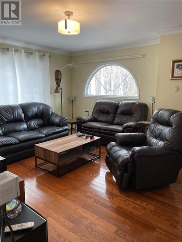 40 Forest Road, Milltown, NL - Indoor Photo Showing Living Room