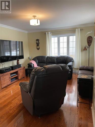 40 Forest Road, Milltown, NL - Indoor Photo Showing Living Room