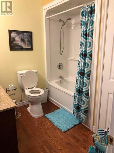 40 Forest Road, Milltown, NL - Indoor Photo Showing Bathroom