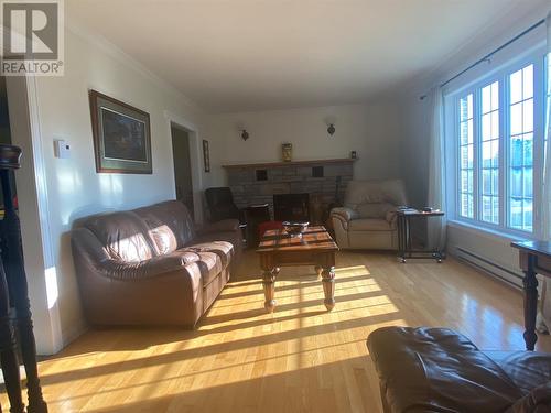 40 Forest Road, Milltown, NL - Indoor Photo Showing Living Room