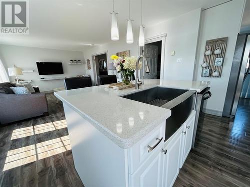 141 Main Street, Point Leamington, NL - Indoor Photo Showing Kitchen