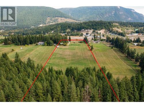 1195 Kirkpatrick Road, Tappen, BC - Outdoor With View