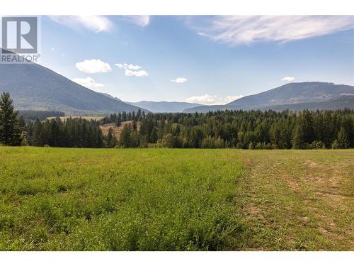 1195 Kirkpatrick Road, Tappen, BC - Outdoor With View