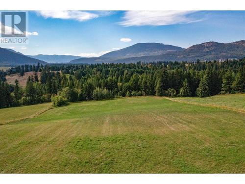 1195 Kirkpatrick Road, Tappen, BC - Outdoor With View