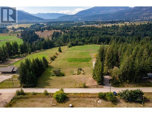 1195 Kirkpatrick Road, Tappen, BC - Outdoor With View