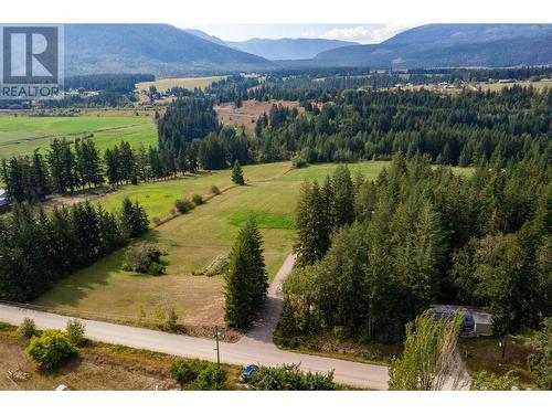 1195 Kirkpatrick Road, Tappen, BC - Outdoor With View