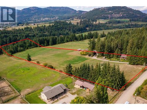 1195 Kirkpatrick Road, Tappen, BC - Outdoor With View