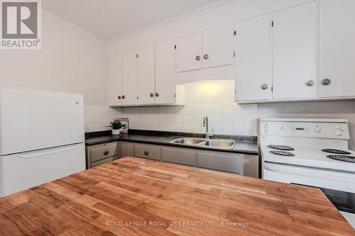 108 Harris Street, Guelph, ON - Indoor Photo Showing Kitchen With Double Sink