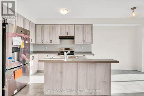 205 Port Crescent E, Welland, ON - Indoor Photo Showing Kitchen With Double Sink