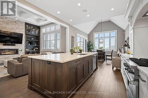 51 Fall Harvest Drive, Kitchener, ON - Indoor Photo Showing Kitchen With Fireplace With Upgraded Kitchen