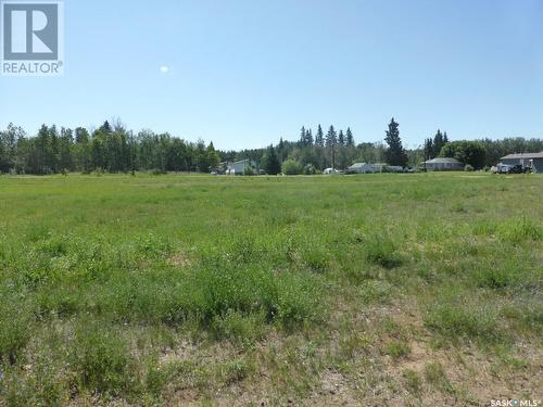 Lot 9 B Avenue, Holbein, SK 