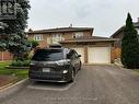 Basment - 426 Wycliffe Avenue, Vaughan, ON  - Outdoor 