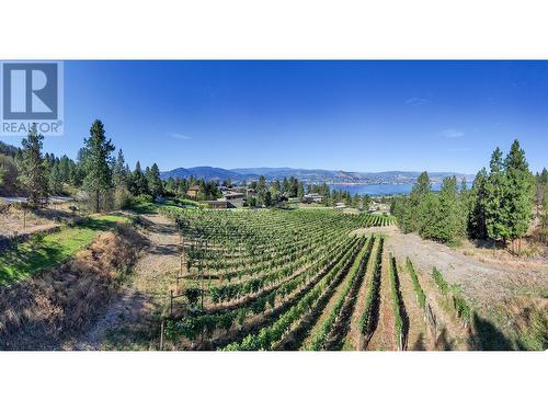 2921 Arawana Road, Naramata, BC - Outdoor With View