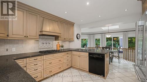 16 Grand Oaks Court, Brampton (Snelgrove), ON - Indoor Photo Showing Kitchen With Double Sink