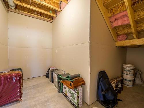 1-260 Rue Cheval Noir, Kamloops, BC - Indoor Photo Showing Basement