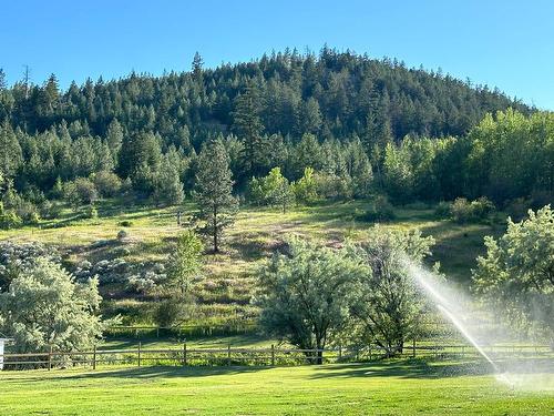 6877 Barnhartvale Road, Kamloops, BC - Outdoor With View