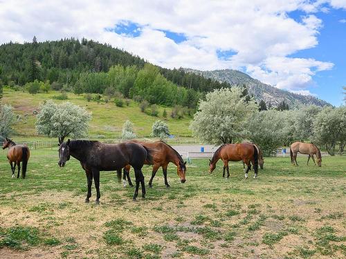 6877 Barnhartvale Road, Kamloops, BC - Outdoor With View