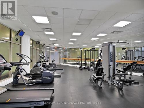 Th94 - 9 Windermere Avenue, Toronto (High Park-Swansea), ON - Indoor Photo Showing Gym Room