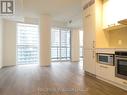 4212 - 87 Peter Street, Toronto (Waterfront Communities), ON  - Indoor Photo Showing Kitchen 