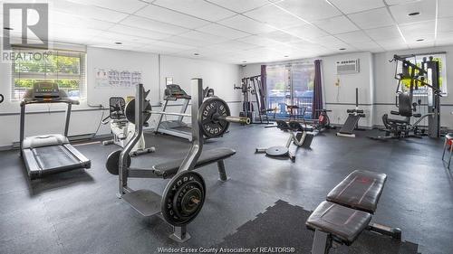 3936 Wyandotte Street Unit# 912, Windsor, ON - Indoor Photo Showing Gym Room