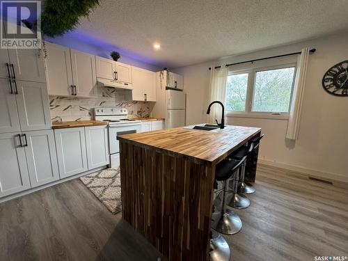 213 Granatier Avenue, Lestock, SK - Indoor Photo Showing Kitchen