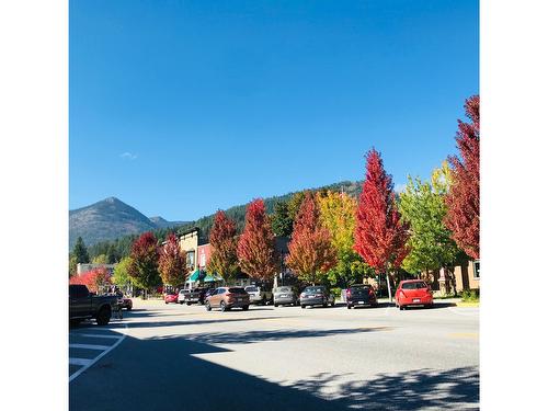 2153A Georgia Street, Rossland, BC - Outdoor