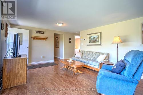 165 Pitt'S Cove Road, Kawartha Lakes (Dunsford), ON - Indoor Photo Showing Living Room