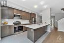 97 Osler Street, Ottawa, ON  - Indoor Photo Showing Kitchen With Upgraded Kitchen 