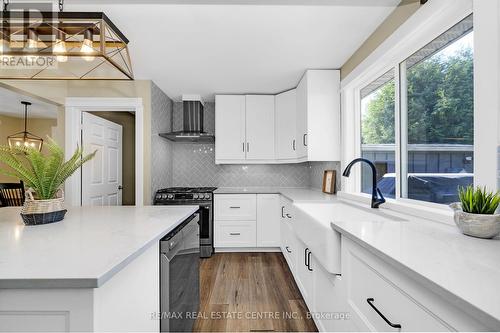 226 Daniel Street, Erin, ON - Indoor Photo Showing Kitchen With Upgraded Kitchen