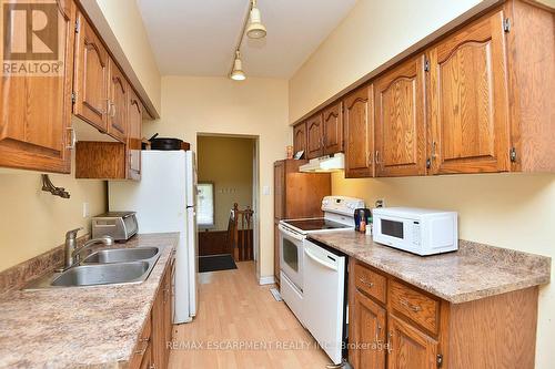 33 Fielding Crescent, Hamilton, ON - Indoor Photo Showing Kitchen With Double Sink