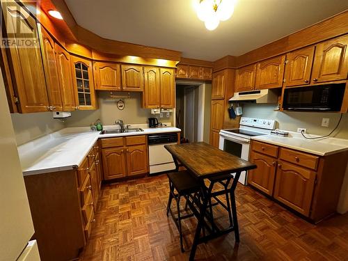 20 Riverview Road, Grand Falls-Windsor, NL - Indoor Photo Showing Kitchen With Double Sink