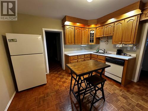 20 Riverview Road, Grand Falls-Windsor, NL - Indoor Photo Showing Kitchen With Double Sink