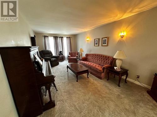 20 Riverview Road, Grand Falls-Windsor, NL - Indoor Photo Showing Living Room