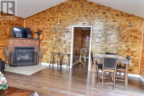 2 Horsechops Road, Cape Broyle, NL - Indoor Photo Showing Living Room With Fireplace