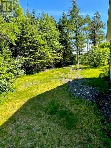 162B Main Road, Bellevue, NL - Outdoor