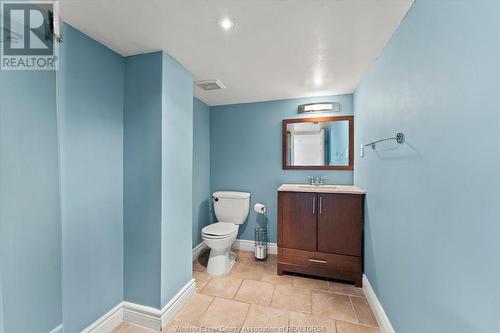 1689 Hickory Road, Windsor, ON - Indoor Photo Showing Bathroom