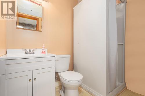 29 Hamel Street, St. John'S, NL - Indoor Photo Showing Bathroom