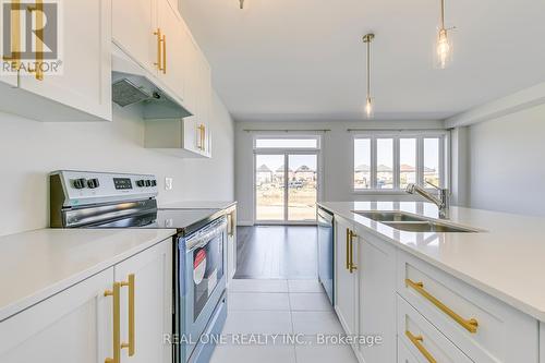 26 Cherry Blossom Heights, Hamilton (Sheldon), ON - Indoor Photo Showing Kitchen With Double Sink