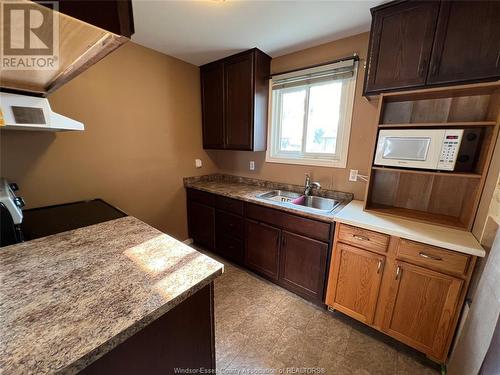 1149 Abbey Court, Windsor, ON - Indoor Photo Showing Kitchen With Double Sink