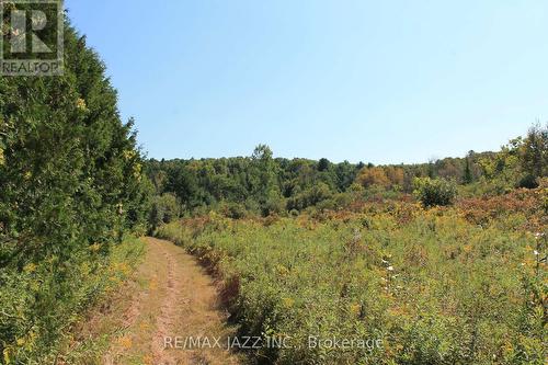 0 Mitchell Road, Cramahe, ON 