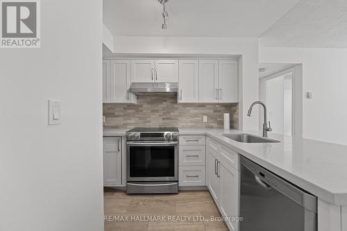 217 - 18 Beverley Street, Toronto (Kensington-Chinatown), ON - Indoor Photo Showing Kitchen With Upgraded Kitchen